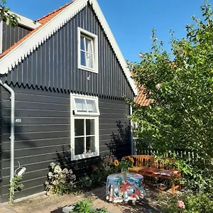 Tulp Noord Bed & Breakfast Amsterdam
