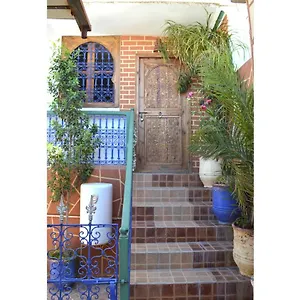 Wink ** Marrakesz